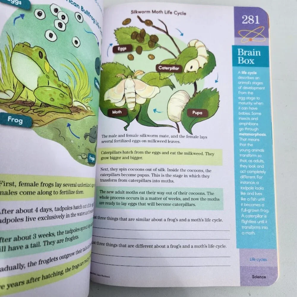 NEW Brain Quest Workbook Grade 5 Activity Book 5th 9780761182788 Workbook School